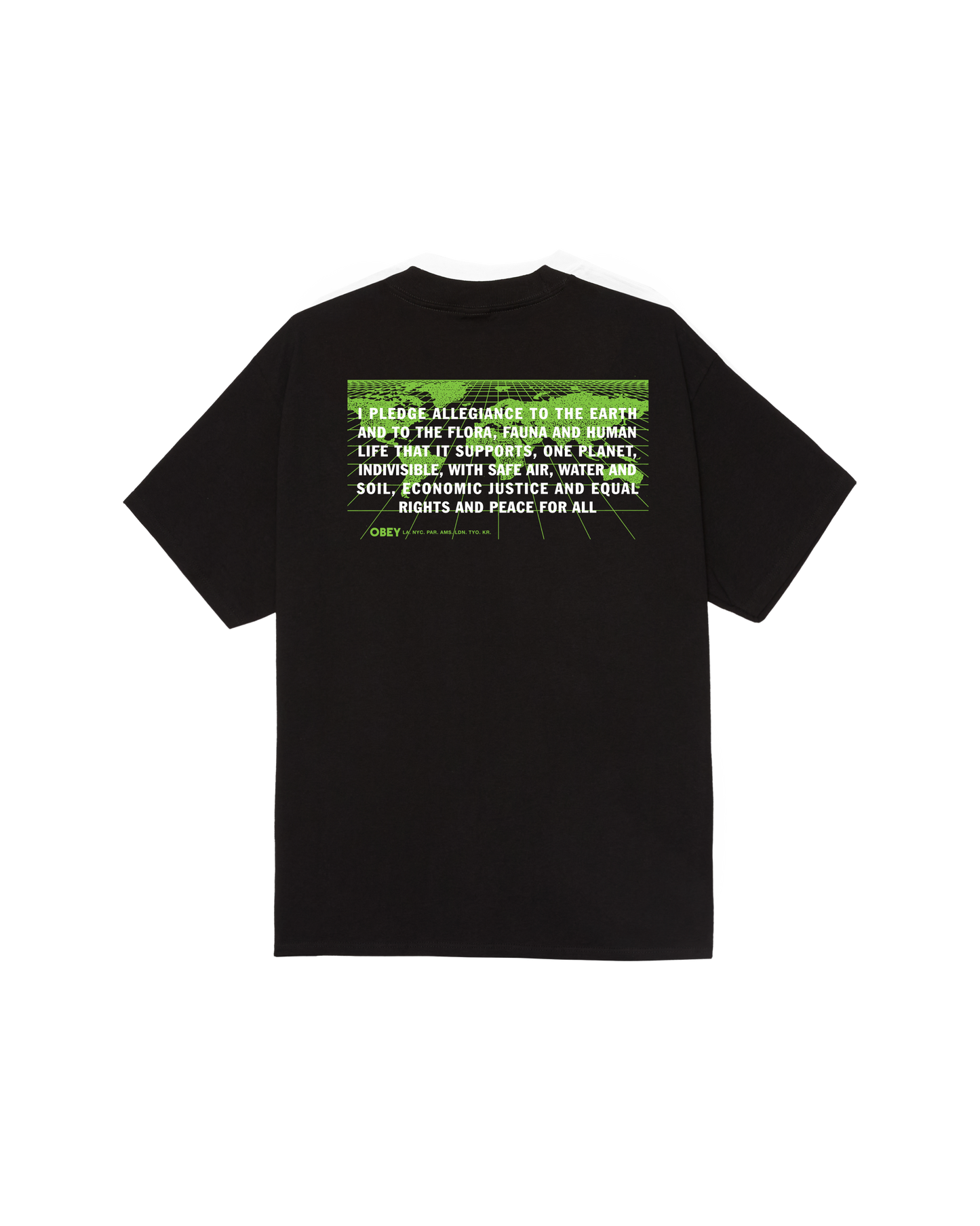 PLEDGE ALLEGIANCE CLASSIC T-SHIRT