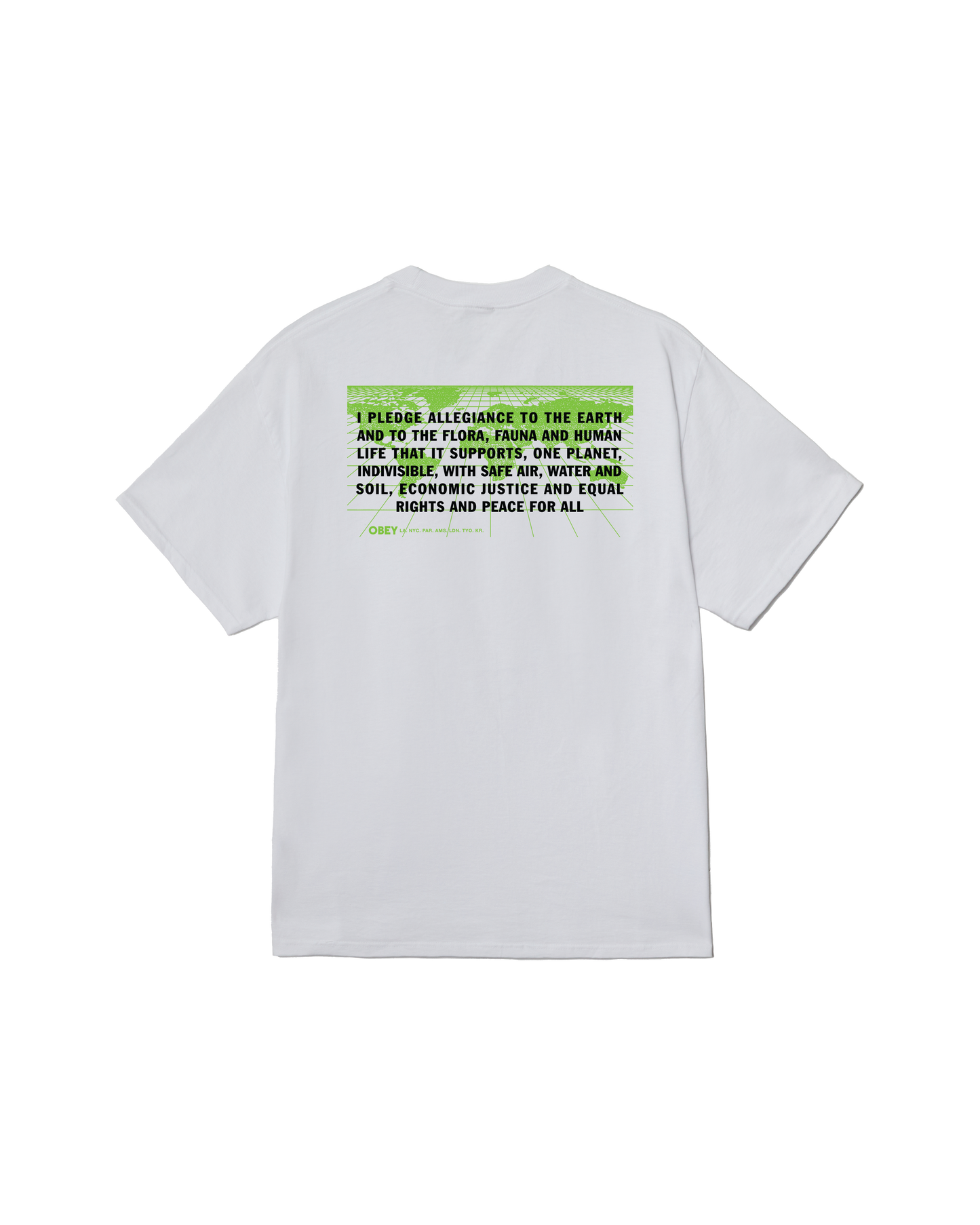 PLEDGE ALLEGIANCE CLASSIC T-SHIRT