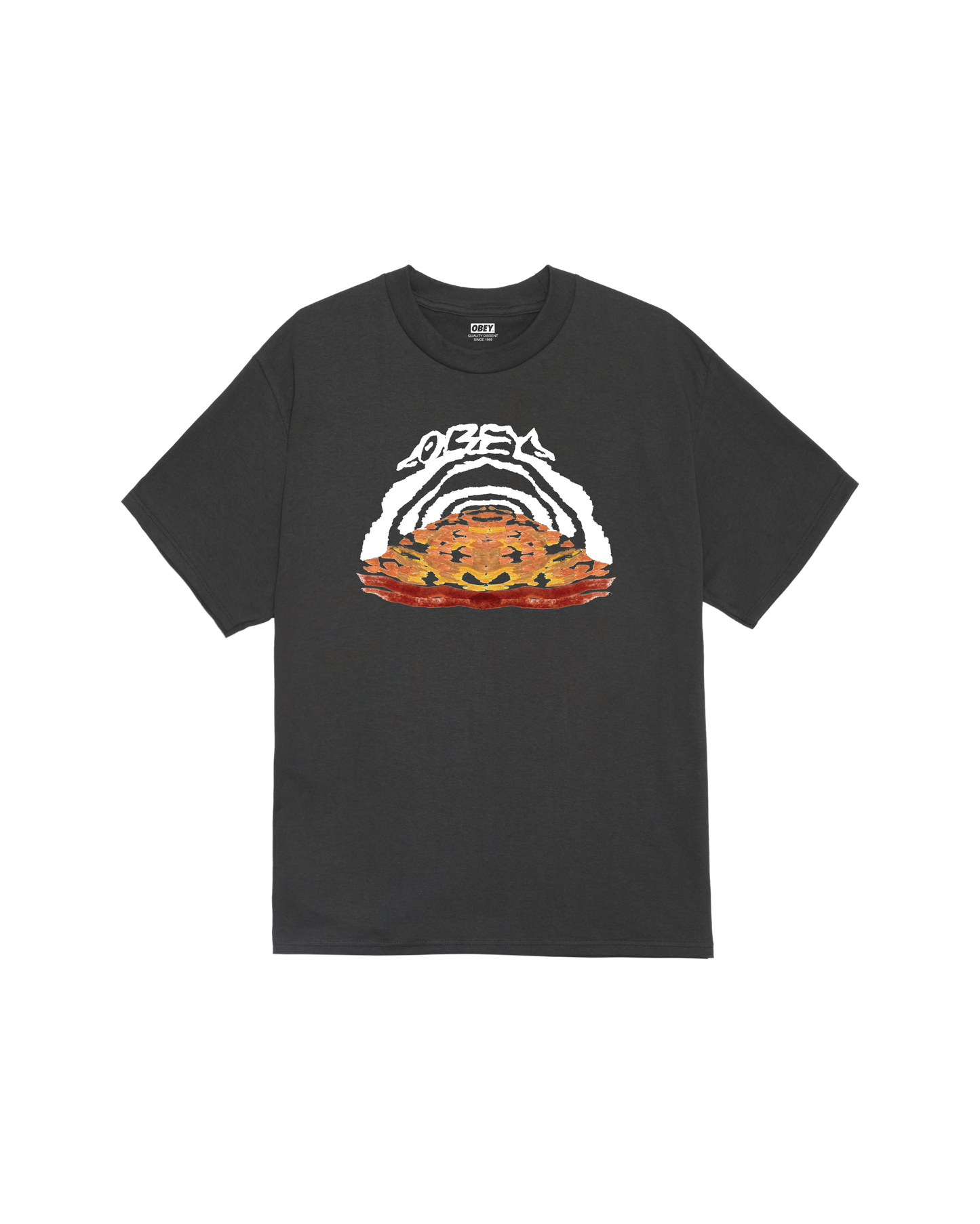 TAKE THE LEAP CLASSIC T-SHIRT