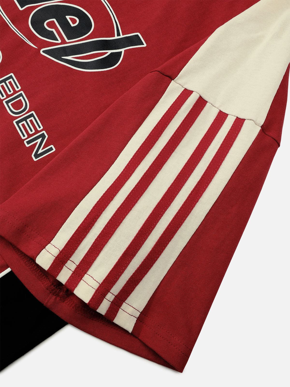 Aelfric Eden Contrast Color Speedway Tee