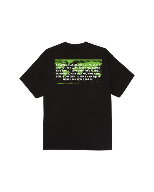 PLEDGE ALLEGIANCE CLASSIC T-SHIRT