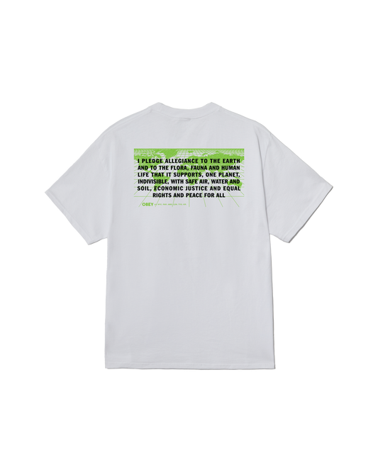 PLEDGE ALLEGIANCE CLASSIC T-SHIRT
