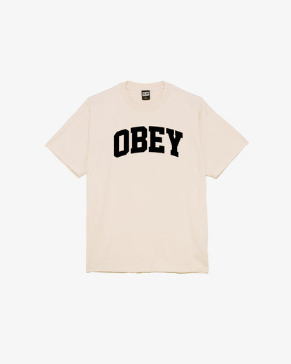 COLLEGIATE HEAVYWEIGHT T-SHIRT