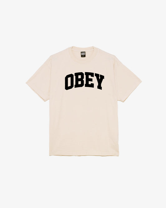 COLLEGIATE HEAVYWEIGHT T-SHIRT