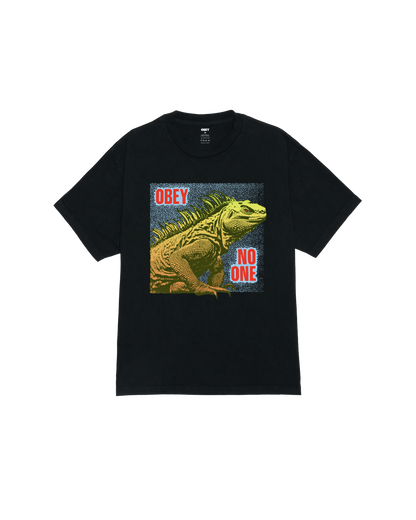 NO ONE REPTILE PIGMENT BOX T-SHIRT